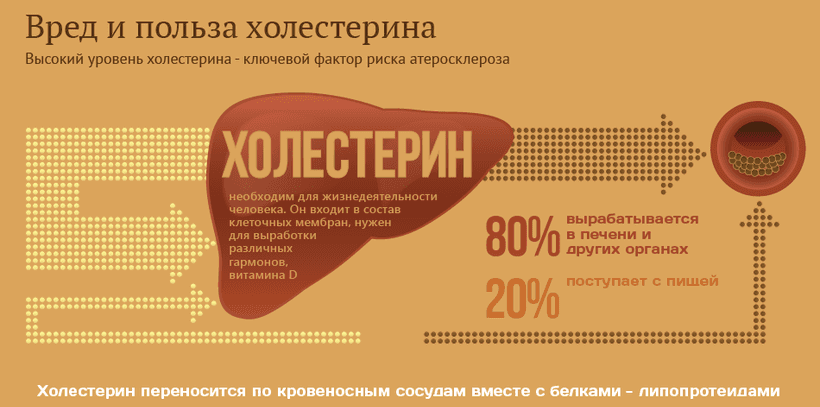Описание изображения