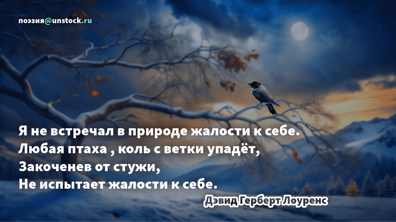 Картинка стихотворения «Жалость к себе»