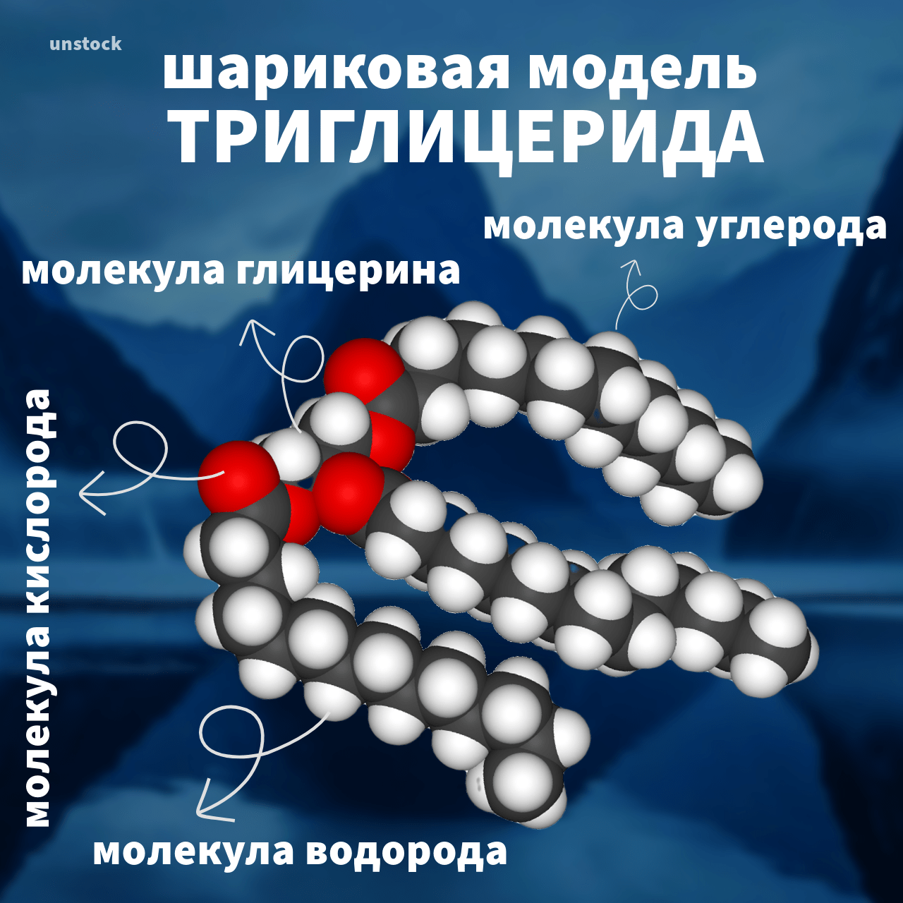 Шариковая модель триглицерида