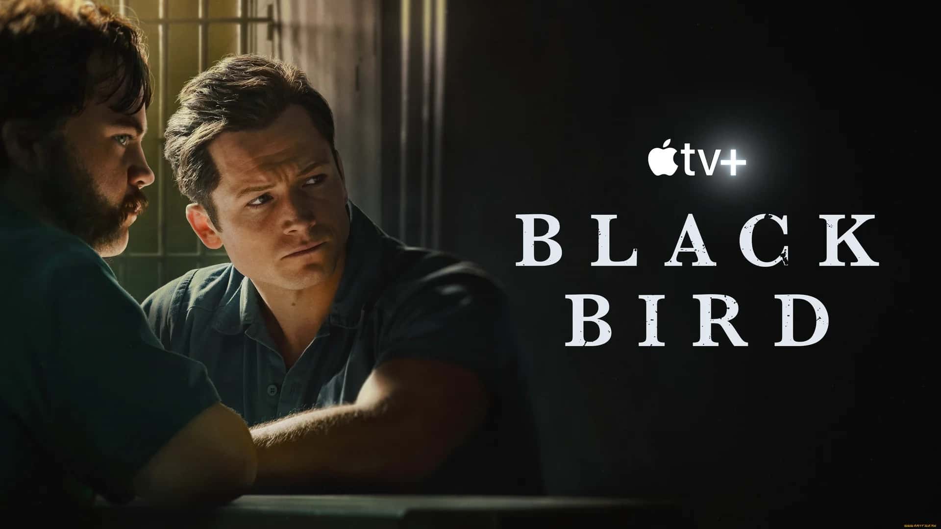 Оффициальная обложка «Black Bird»