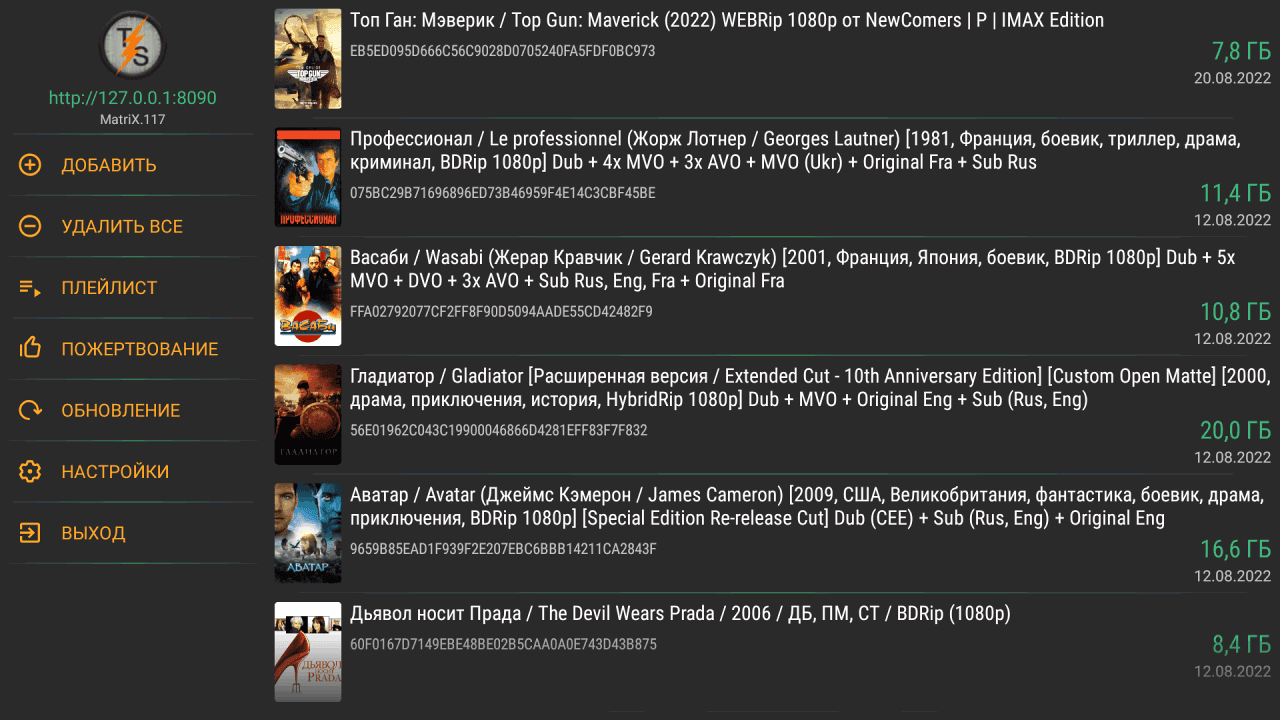 Главный экран TorrServer MatriX — список доступных торрентов и кнопка добавления ссылки.