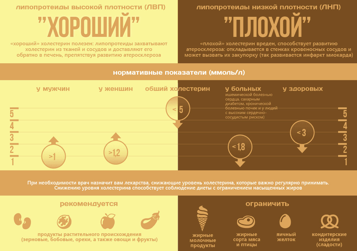 Описание изображения