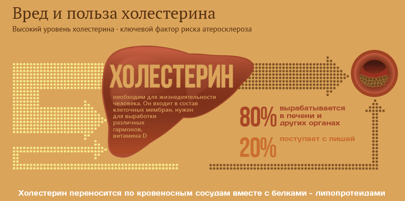 Описание изображения