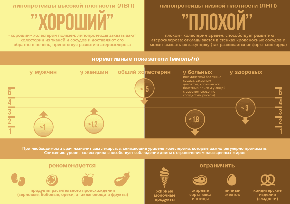 Описание изображения